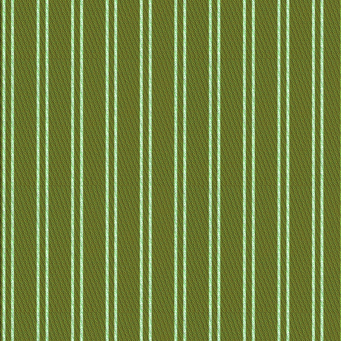 Machine Washable Transitional Green Rug, wshpat3491grn