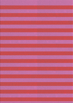 Machine Washable Transitional HotPink Rug, wshpat3497