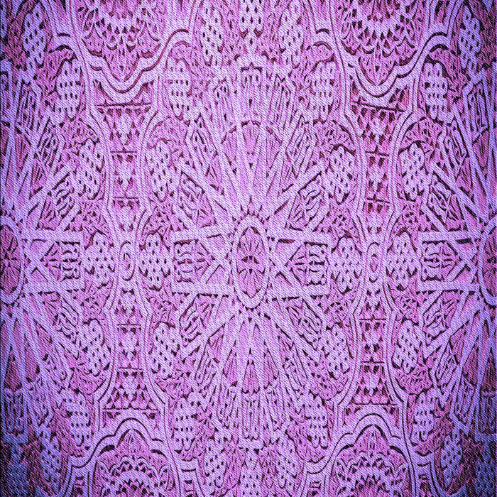 Machine Washable Transitional Violet Purple Rug, wshpat3502pur