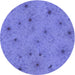 Square Machine Washable Transitional Purple Mimosa Purple Rug in a Living Room, wshpat3503blu