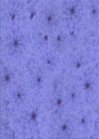 Machine Washable Transitional Purple Mimosa Purple Rug, wshpat3503blu