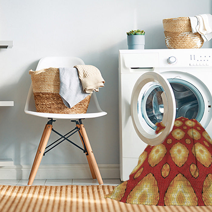 Machine Washable Transitional Red Rug in a Washing Machine, wshpat3505brn