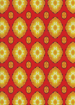 Machine Washable Transitional Red Rug, wshpat3505