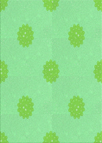 Machine Washable Transitional Jade Green Rug, wshpat3506grn