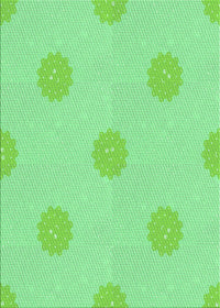 Machine Washable Transitional Jade Green Rug, wshpat3507grn