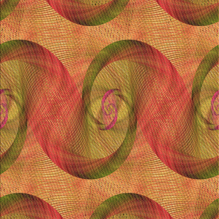 Machine Washable Transitional Orange Rug, wshpat3509org