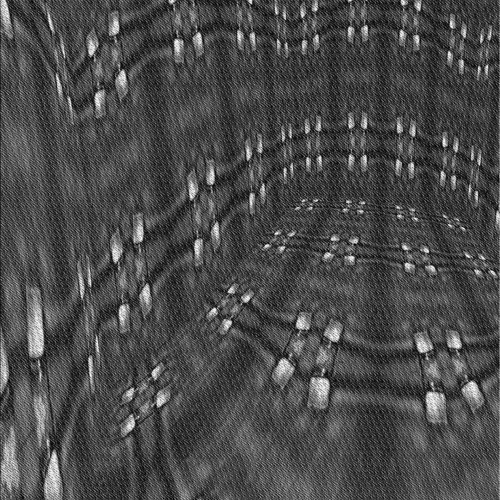 Patterned Charcoal Black Rug, pat3514gry