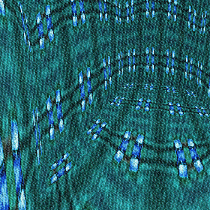 Patterned Medium Teal Green Rug, pat3514lblu