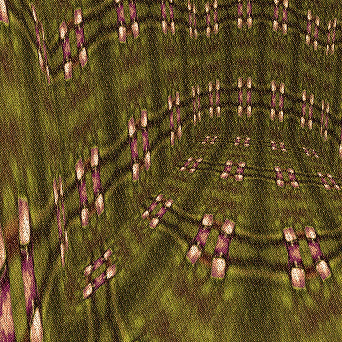 Machine Washable Transitional Bakers Brown Rug, wshpat3514org