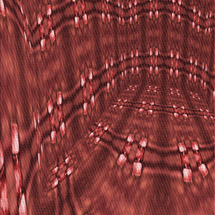 Patterned Red Rug, pat3514rd