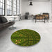 Round Patterned Dark Forest Green Rug in a Office, pat3514yw