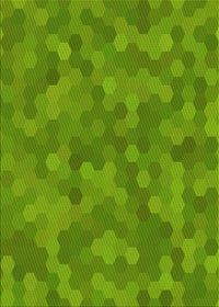 Machine Washable Transitional Dark Lime Green Rug, wshpat3516yw