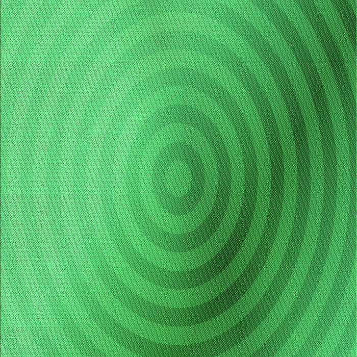 Machine Washable Transitional Neon Green Rug, wshpat3518grn