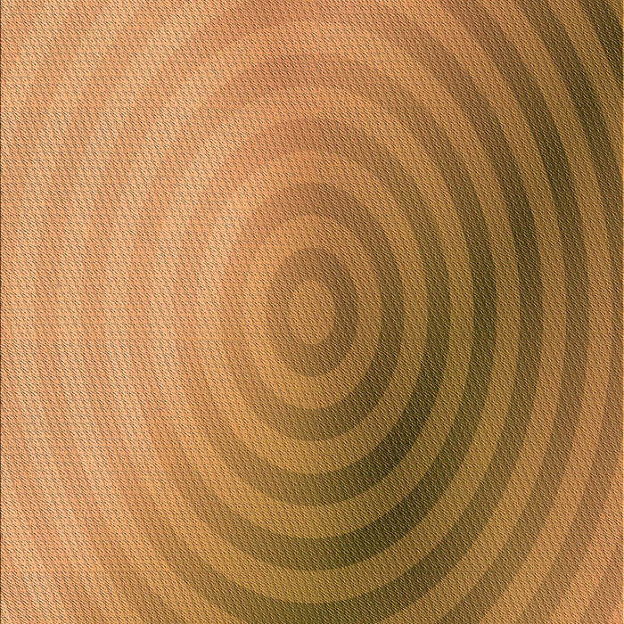 Patterned Orange Rug, pat3518org