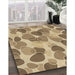 Patterned Brown Rug in Family Room, pat3525brn