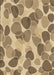 Machine Washable Transitional Brown Rug, wshpat3525brn