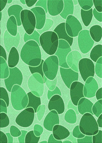 Machine Washable Transitional Lime Mint Green Rug, wshpat3525grn