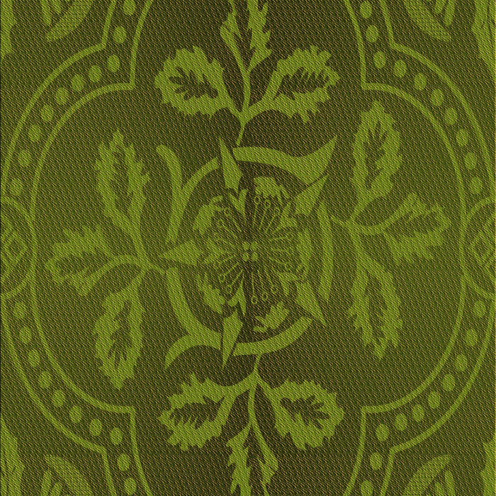 Machine Washable Transitional Dark Forest Green Rug, wshpat3526org