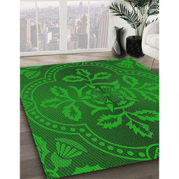 Patterned Dark Green Novelty Rug in Family Room, pat3526
