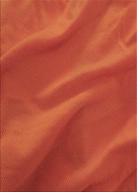 Machine Washable Transitional Orange Red Orange Rug, wshpat3527org