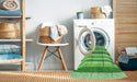 Machine Washable Transitional Green Rug in a Washing Machine, wshpat3528grn