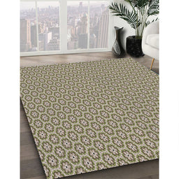 Patterned Tan Brown Novelty Rug in Family Room, pat352
