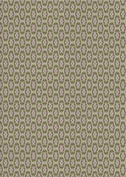 Machine Washable Transitional Tan Brown Rug, wshpat352