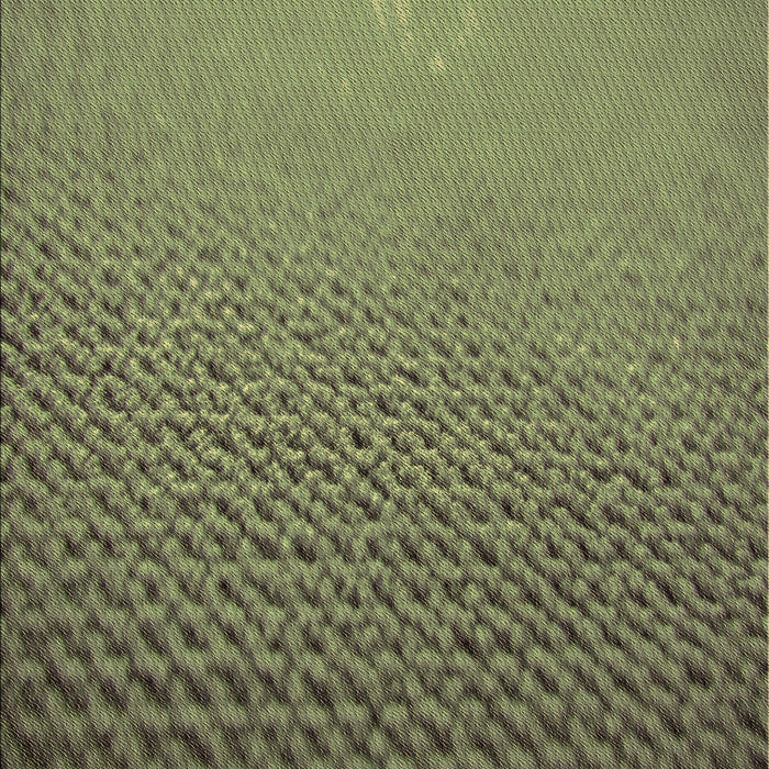 Machine Washable Transitional Brass Green Rug, wshpat3532brn