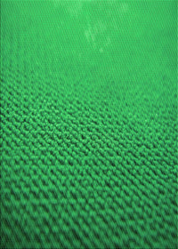 Machine Washable Transitional Neon Green Rug, wshpat3532grn