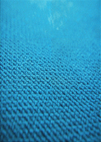 Machine Washable Transitional Blue Rug, wshpat3532lblu