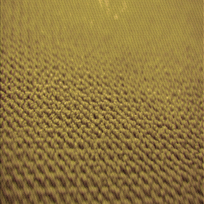 Patterned Dark Bronze Brown Rug, pat3532org