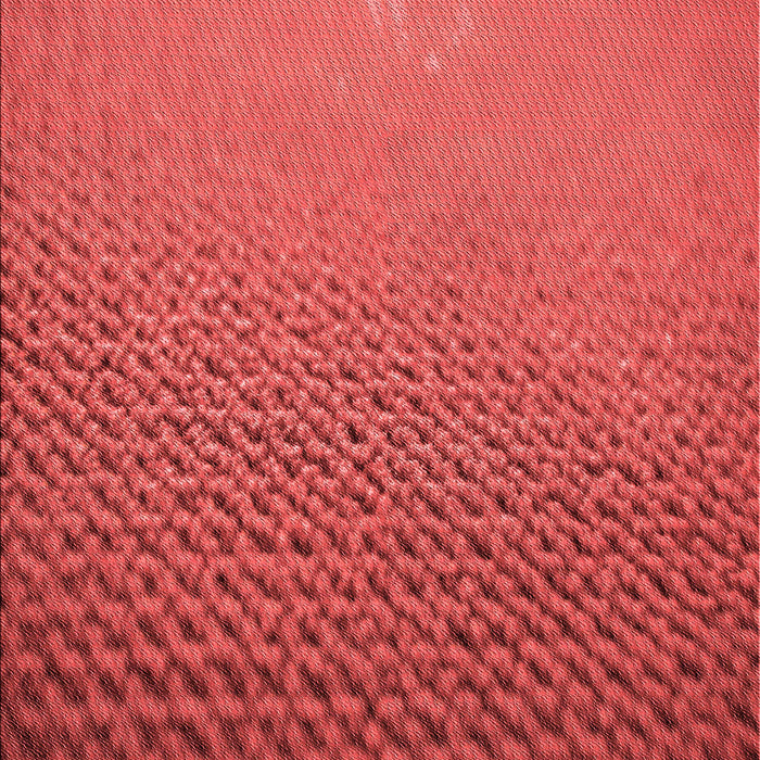 Patterned Red Rug, pat3532rd