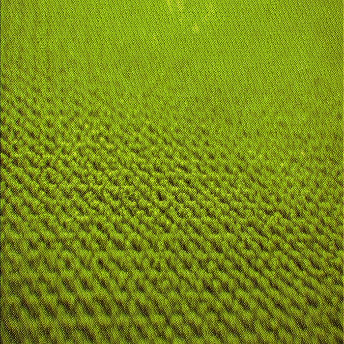 Patterned Pistachio Green Rug, pat3532yw
