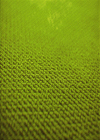 Machine Washable Transitional Pistachio Green Rug, wshpat3532yw