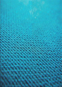 Patterned Aqua Cyan Blue Novelty Rug, pat3532