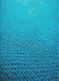 Patterned Aqua Cyan Blue Novelty Rug, pat3532