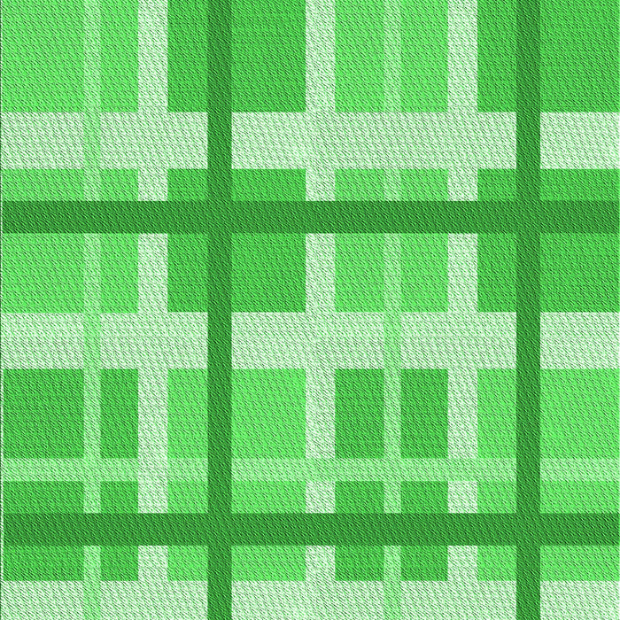 Machine Washable Transitional Neon Green Rug, wshpat3533grn
