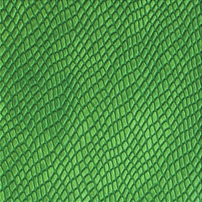 Round Machine Washable Transitional Green Rug, wshpat3542grn