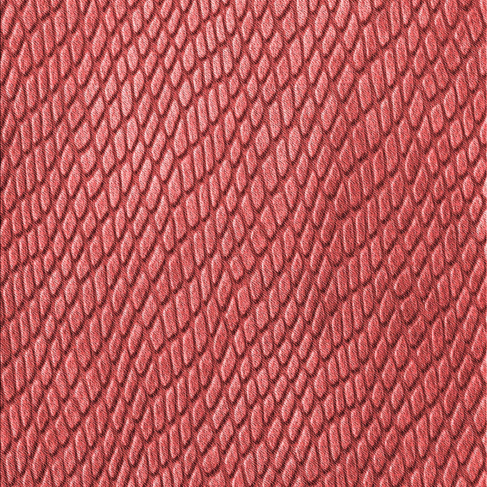 Patterned Red Rug, pat3542rd