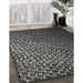 Patterned Mid Gray Novelty Rug in Family Room, pat3545