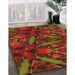 Machine Washable Transitional Tomato Red Rug in a Family Room, wshpat3548org