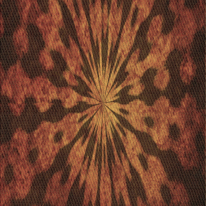 Machine Washable Transitional Mahogany Brown Rug, wshpat3549brn