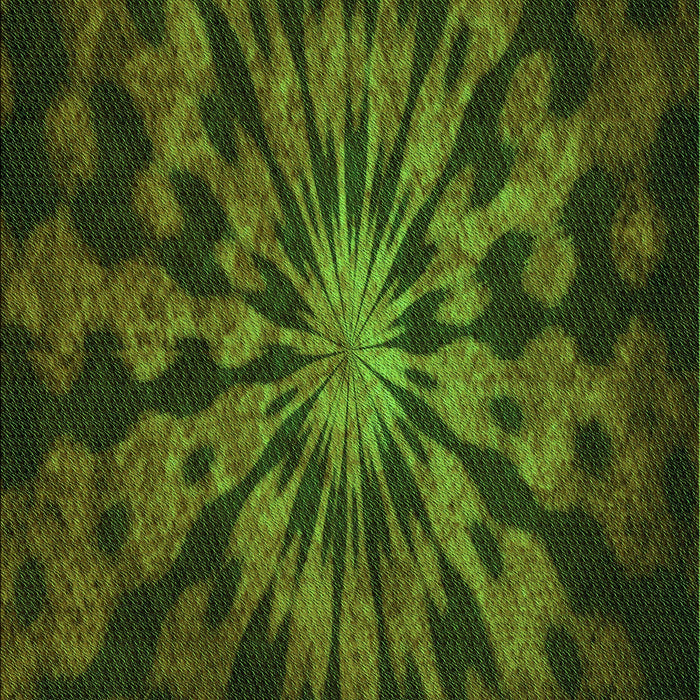 Machine Washable Transitional Dark Forest Green Rug, wshpat3549grn