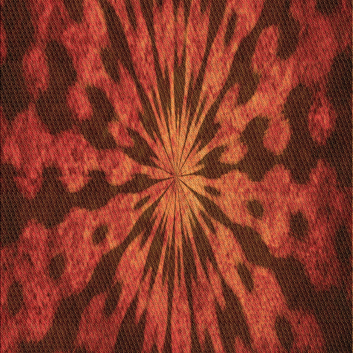 Machine Washable Transitional Mahogany Brown Rug, wshpat3549org