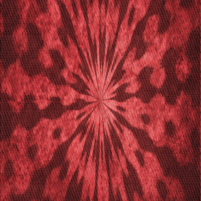 Machine Washable Transitional Red Rug, wshpat3549rd