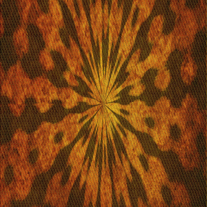 Machine Washable Transitional Mahogany Brown Rug, wshpat3549yw