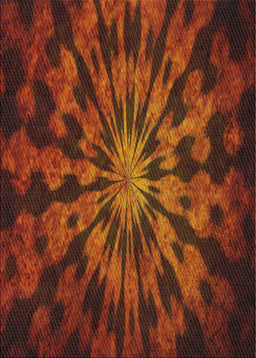 Machine Washable Transitional Red Rug, wshpat3549