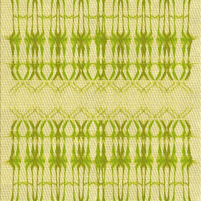 Machine Washable Transitional Brown Rug, wshpat355yw