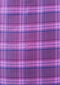 Machine Washable Transitional Purple Rug, wshpat3550pur