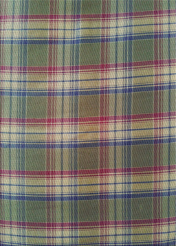 Machine Washable Transitional Taupe Brown Rug, wshpat3550